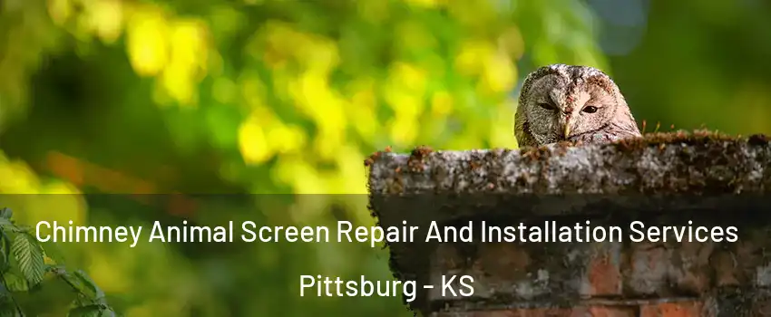  Chimney Animal Screen Repair And Installation Services Pittsburg - KS