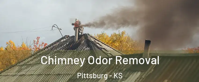 Chimney Odor Removal Pittsburg - KS