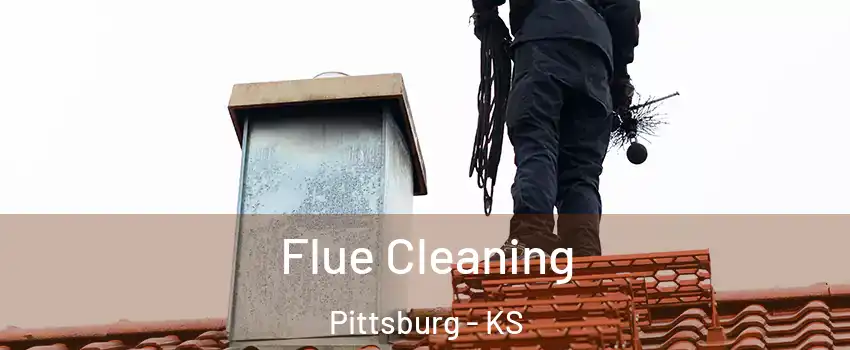  Flue Cleaning Pittsburg - KS