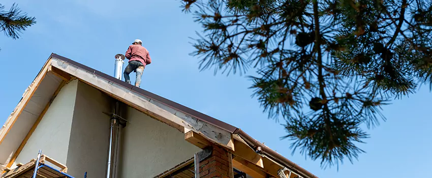Birds Removal Contractors from Chimney in Pittsburg, KS