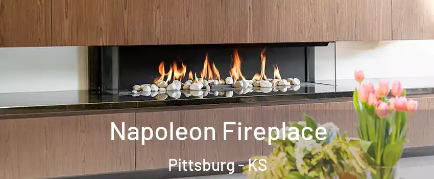  Napoleon Fireplace Pittsburg - KS